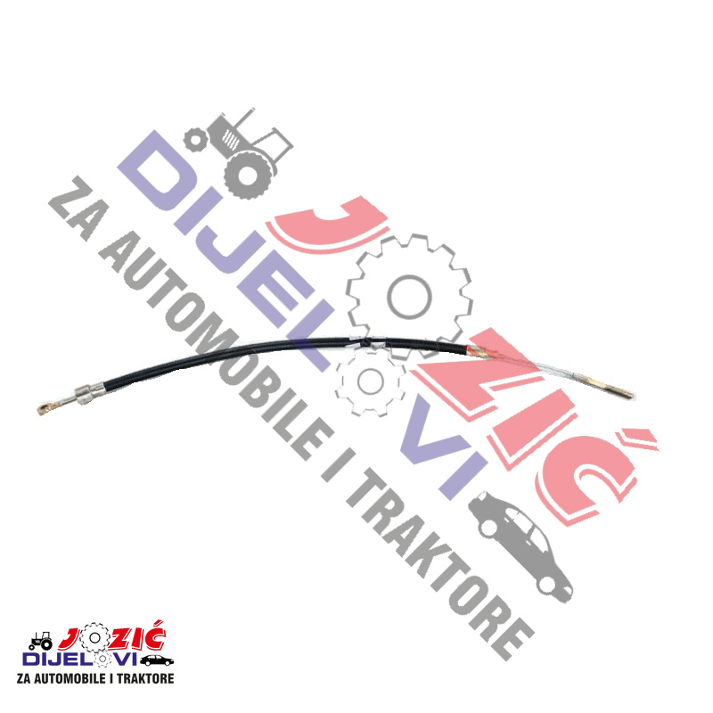 Daisy on the Ohoopee